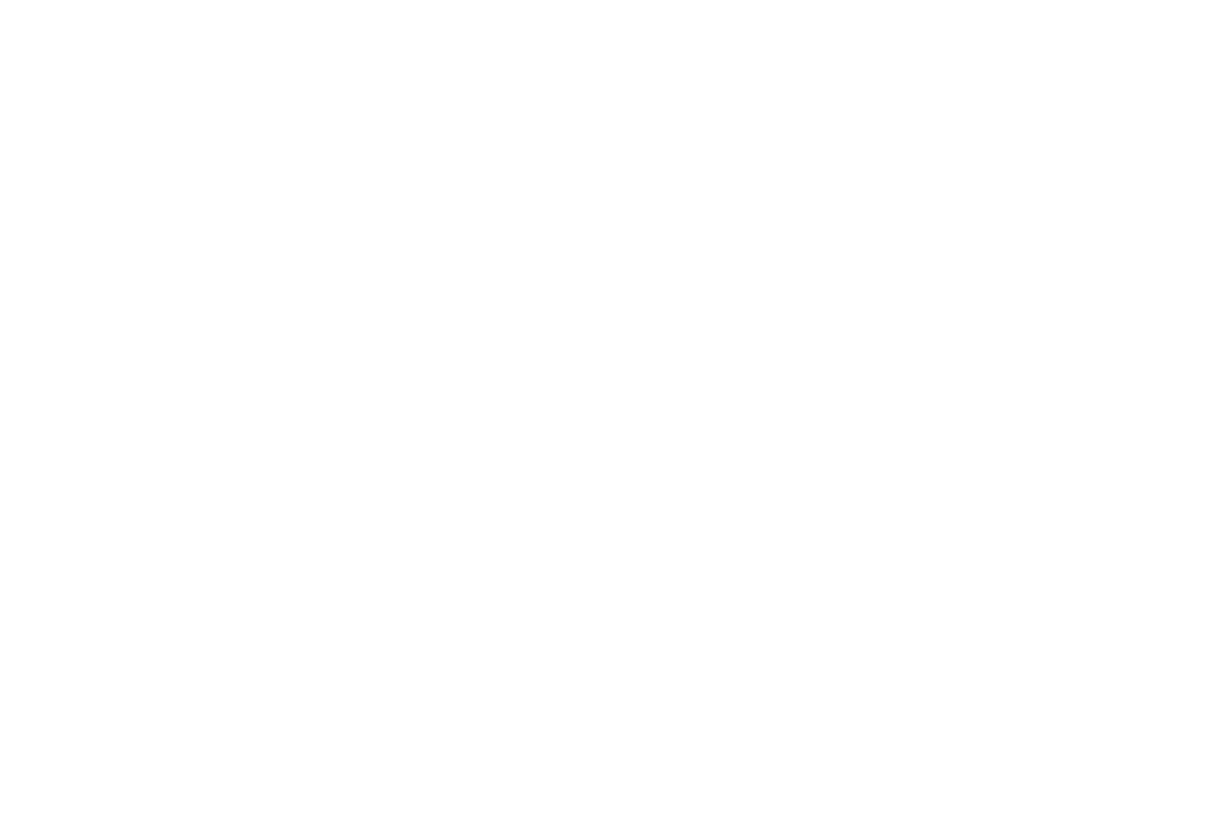 ENISA Logo